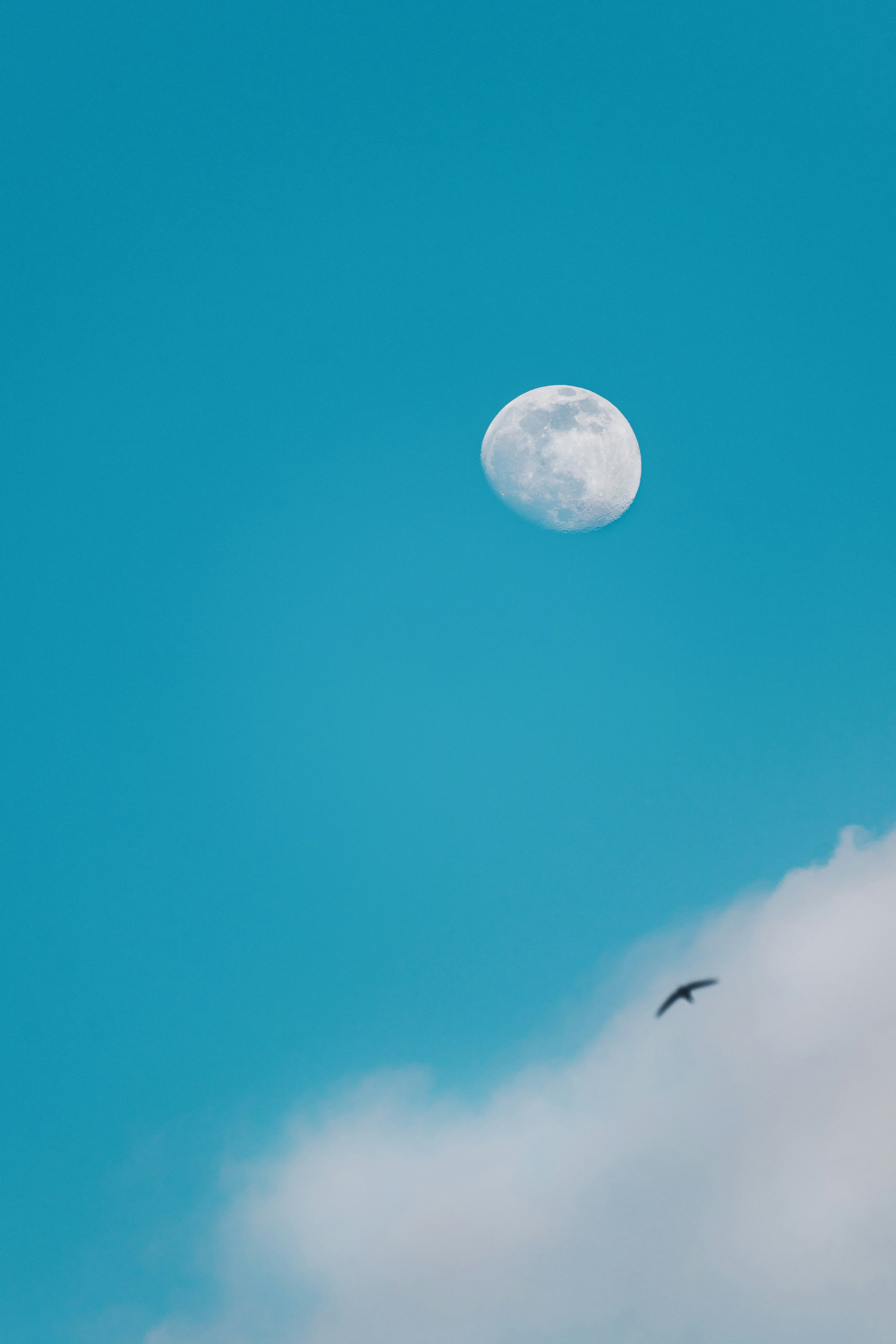 white full moon in blue sky